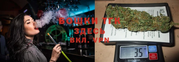 сатива Верея