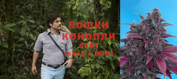 сатива Верея