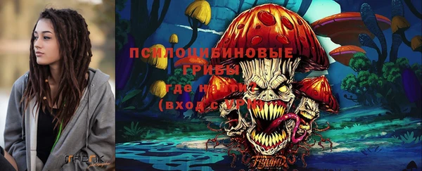 PSILOCYBIN Кулебаки