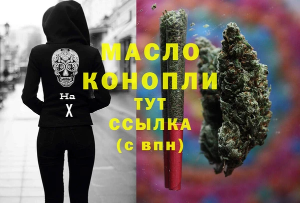 сатива Верея