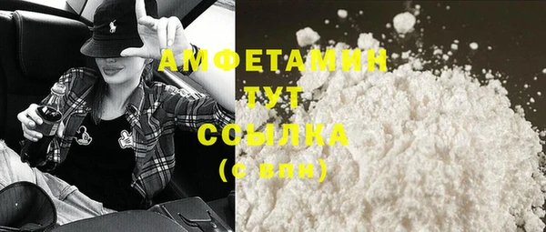 сатива Верея