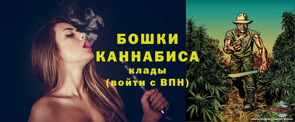 сатива Верея
