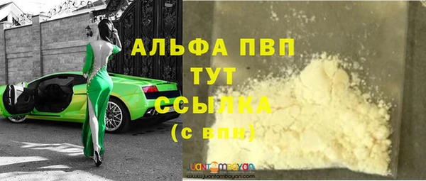 сатива Верея