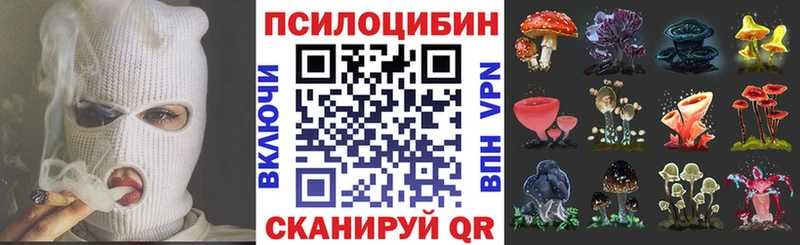 Псилоцибиновые грибы Cubensis  Окуловка 