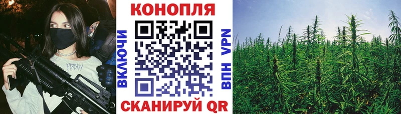 продажа наркотиков  Окуловка  Бошки марихуана конопля 